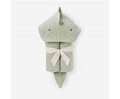 Dinasaur Baby Bath Wrap