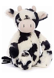 Bashful Calf