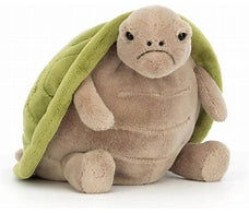 Timmy Turtle