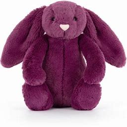 Little Bashful Allium Bunny